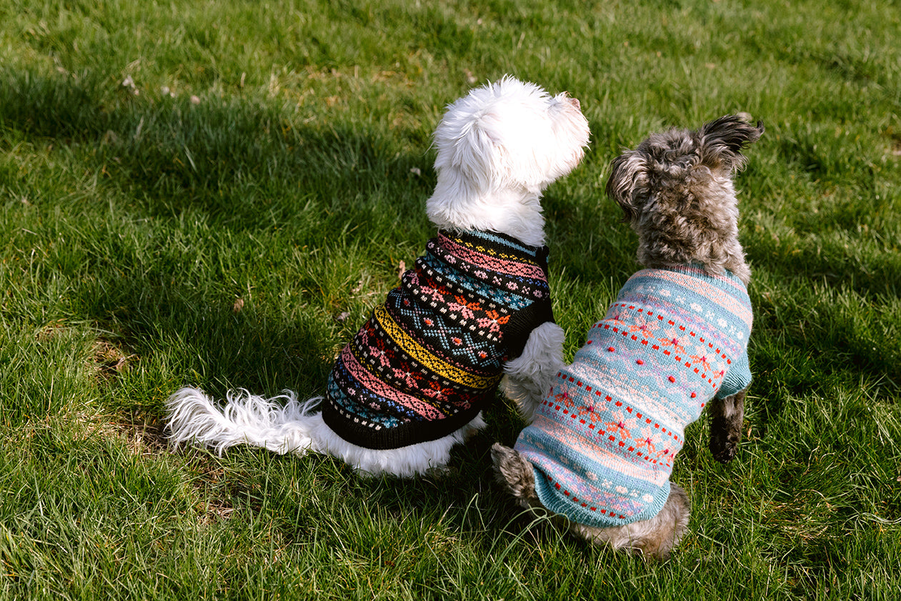 Parker Dog Sweater – French Knot